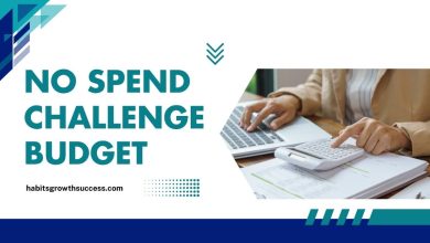 woman planning no spend challenge budget in notebook at home