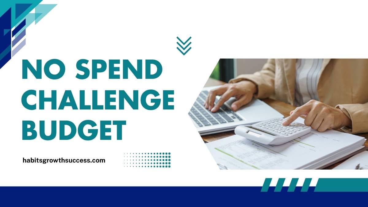 woman planning no spend challenge budget in notebook at home